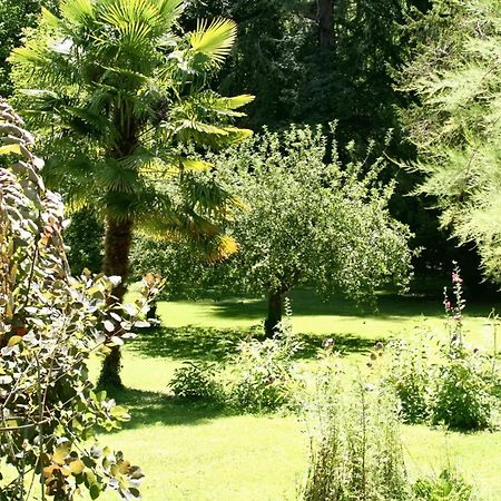 Villa D'Une Chambre Avec Piscine Privee Jardin Clos Et Wifi A Sarlat La Caneda 外观 照片